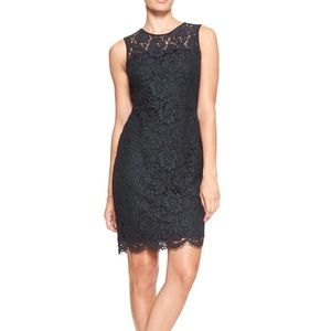 Banana Republic Sheath two tone lace dress NWT